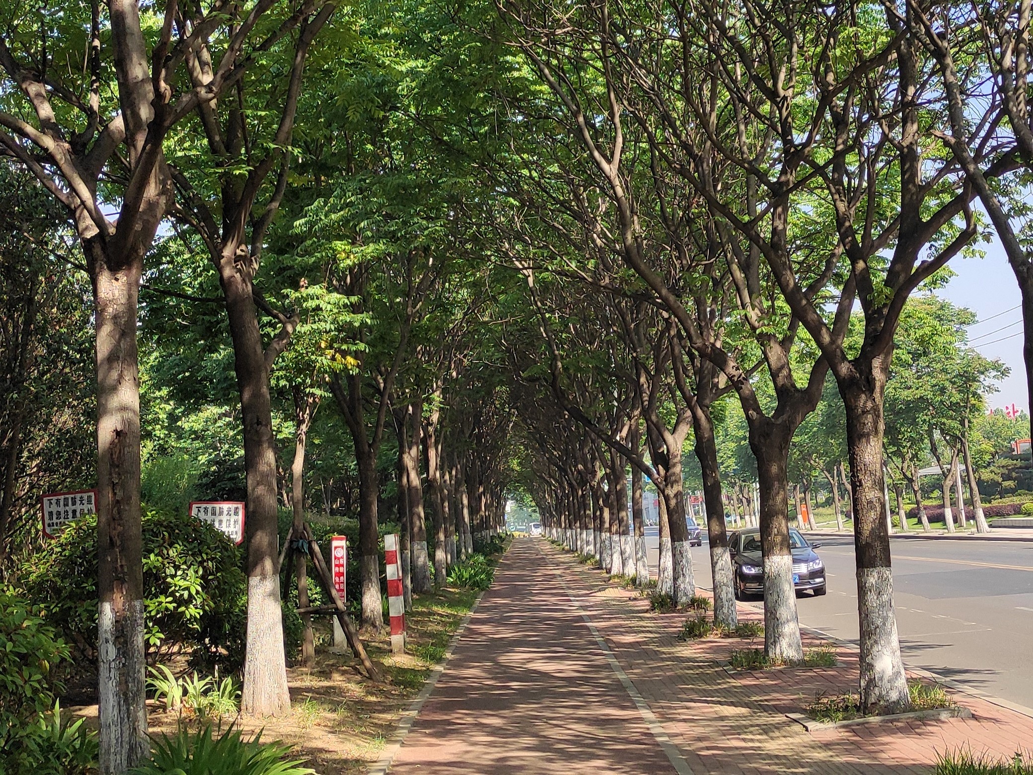 去时的路