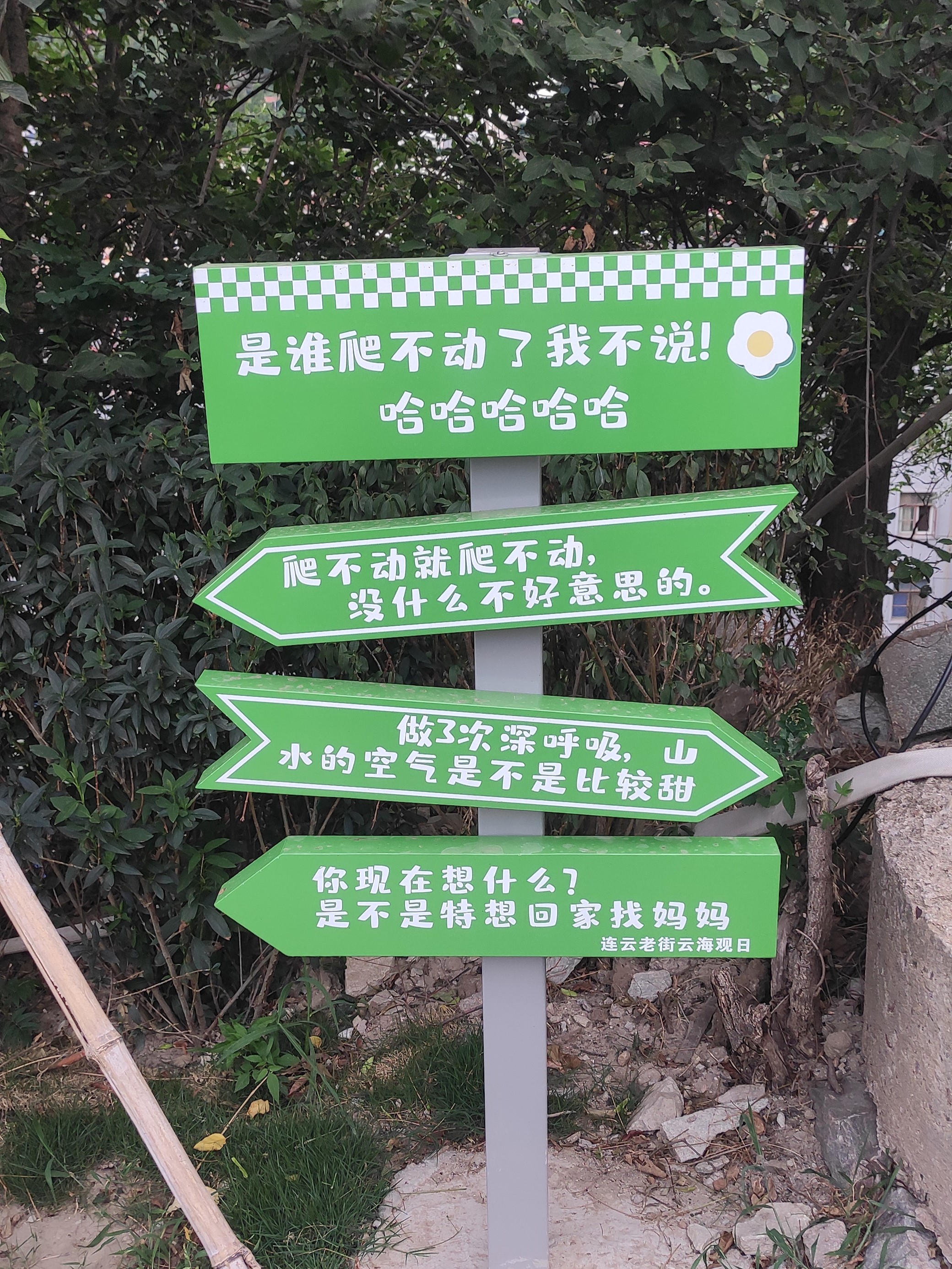 老街嘲讽1