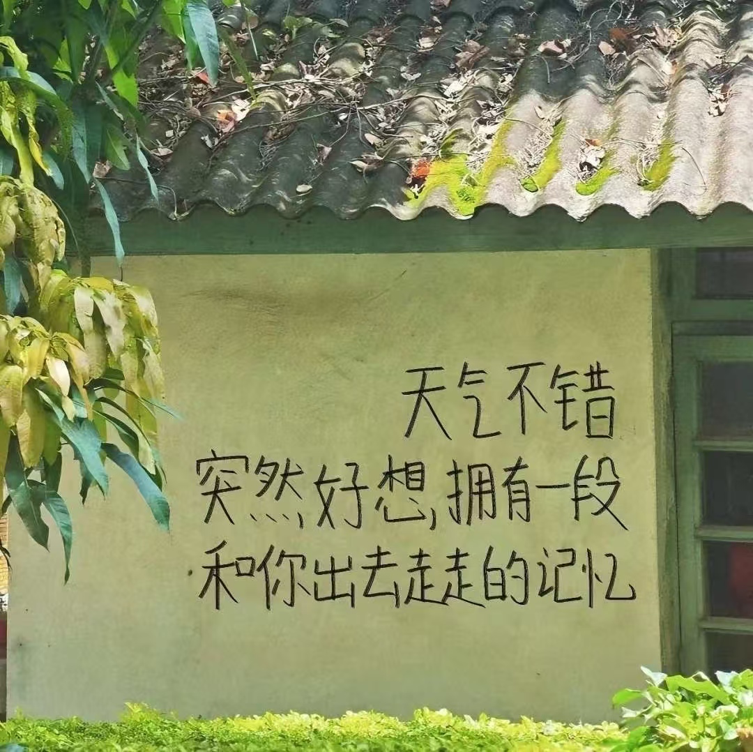 想和你有一段花海的记忆