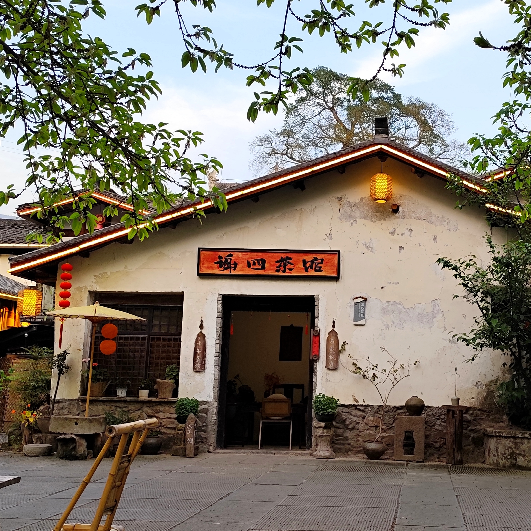 树下茶馆